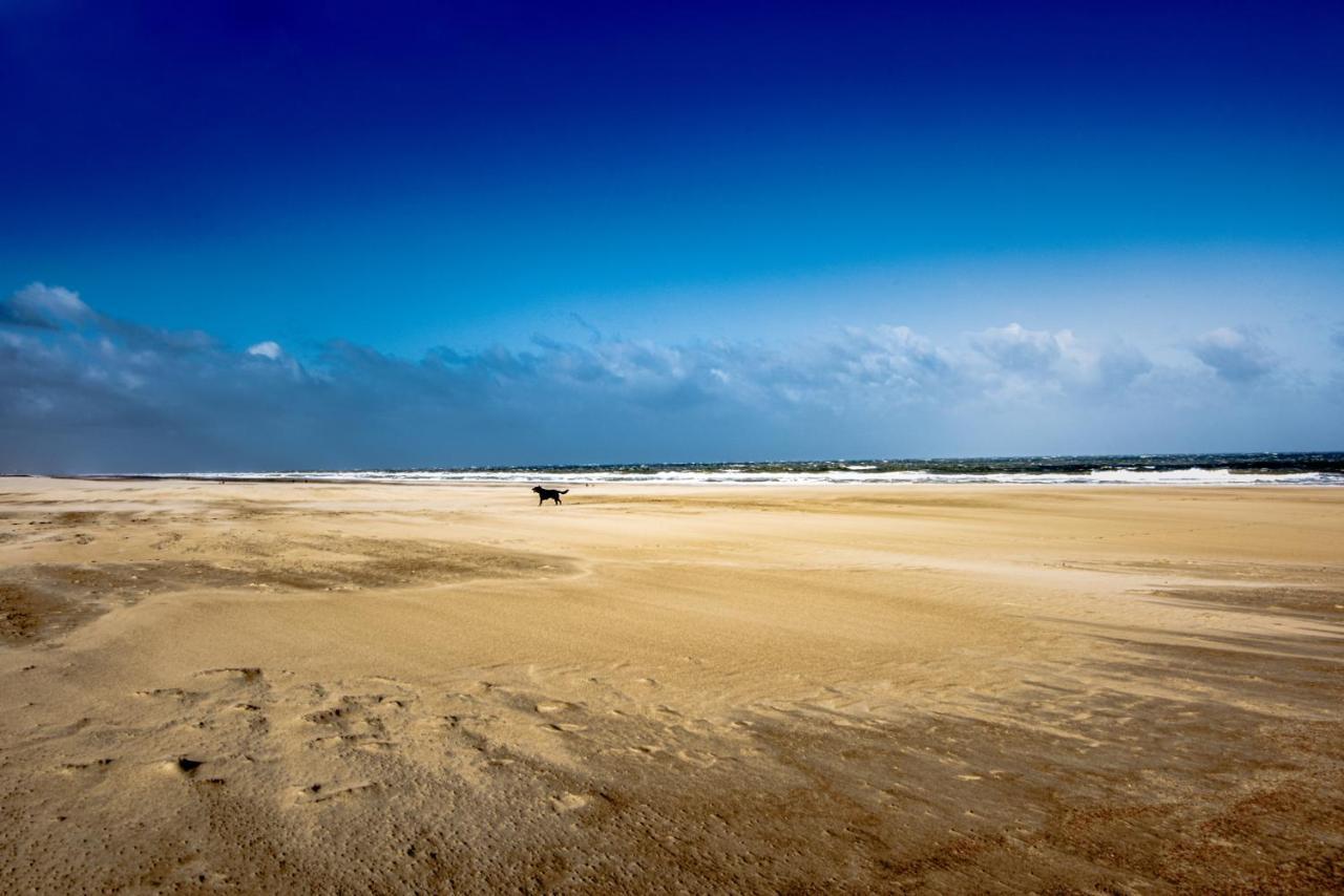 Sealinda Daire Oostende Dış mekan fotoğraf
